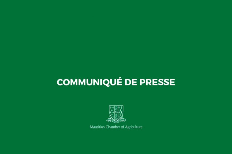 Le 2e communiqué de presse pour la récolte sucrière 2020