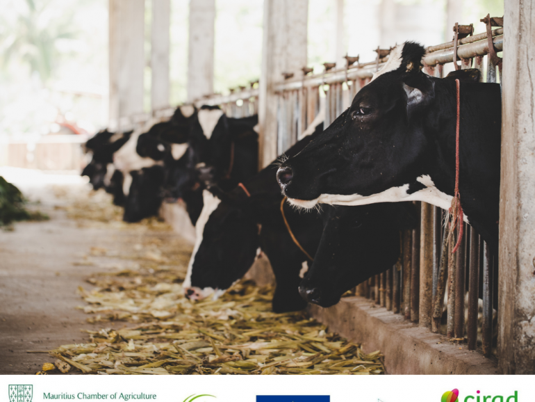 Journée mondiale du lait