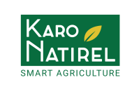 Logo KN